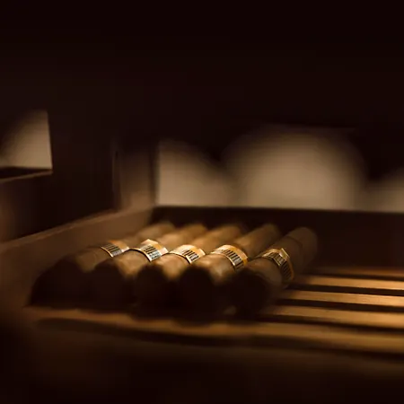 Ambasador - By Liburnia & Otel